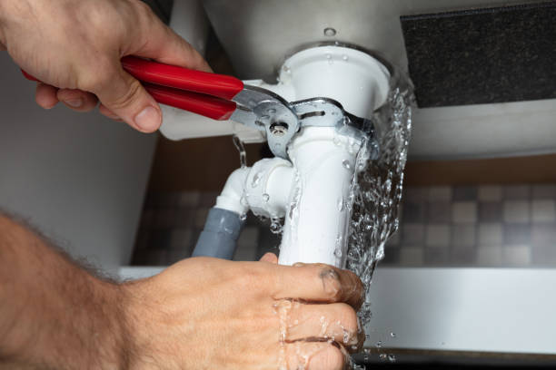 Best Mold removal after water damage  in Ohioville, PA