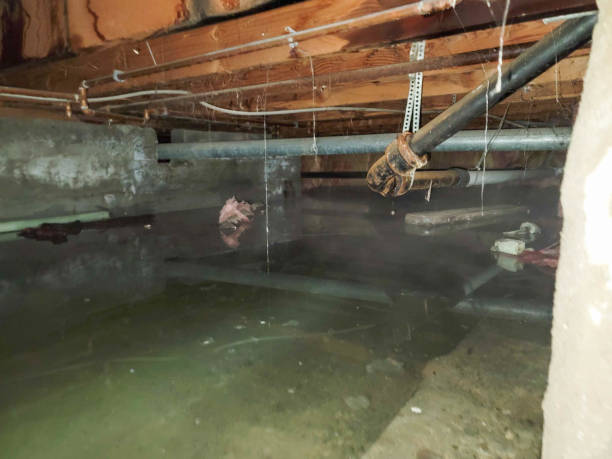 Best Flooded house restoration  in Ohioville, PA