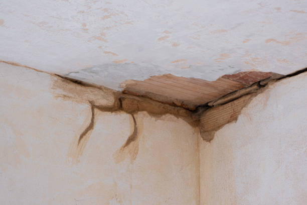 Best Sewage cleanup and water damage restoration  in Ohioville, PA