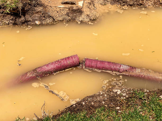Best Water damage restoration near me  in Ohioville, PA