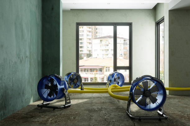 Best Basement water damage restoration  in Ohioville, PA