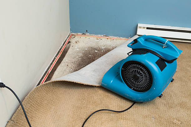 Best Flooded house restoration  in Ohioville, PA